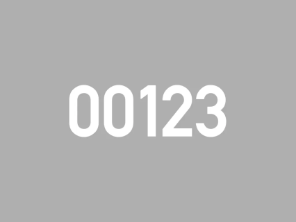 Numbering print - hot stamp