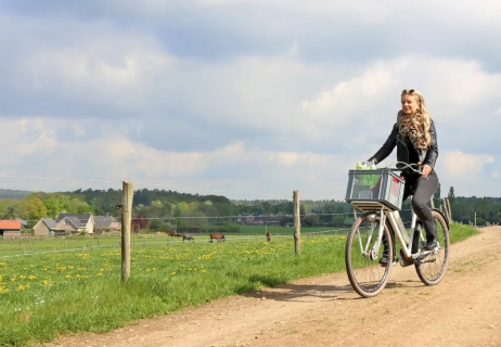Fahrradkisten